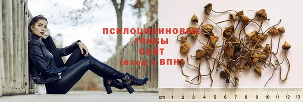 экстази Алексин