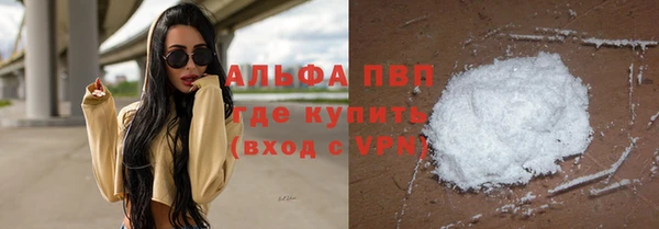 СК Алзамай