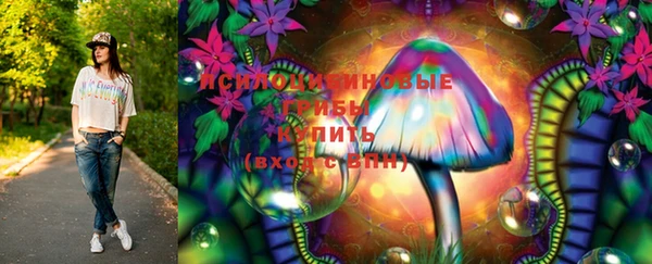 индика Алексеевка