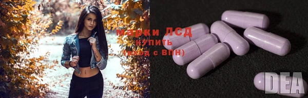 индика Алексеевка