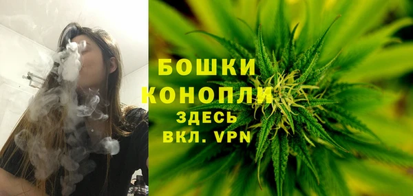 индика Алексеевка