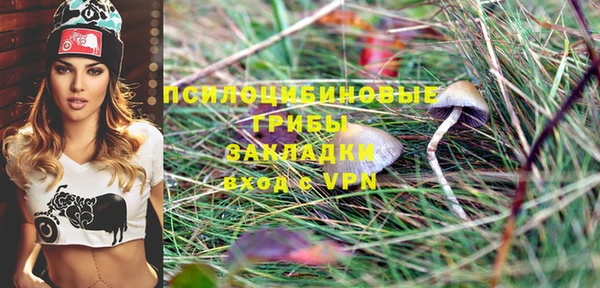 индика Алексеевка