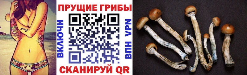 Псилоцибиновые грибы Psilocybine cubensis  mega ССЫЛКА  Малаховка 